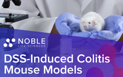 DSS-Induced Colitis Mouse Models